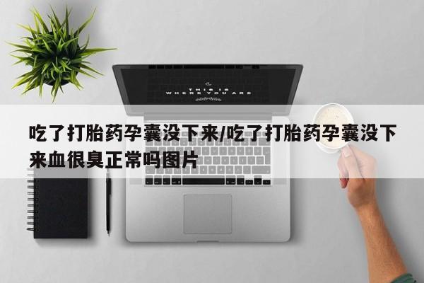 网上购买米非司酮片去哪买吃了打胎药孕囊没下来/吃了打胎药孕囊没下来血很臭正常吗图片