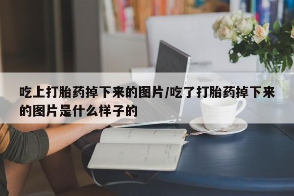 网上购买米非司酮片去哪买吃上打胎药掉下来的图片/吃了打胎药掉下来的图片是什么样子的